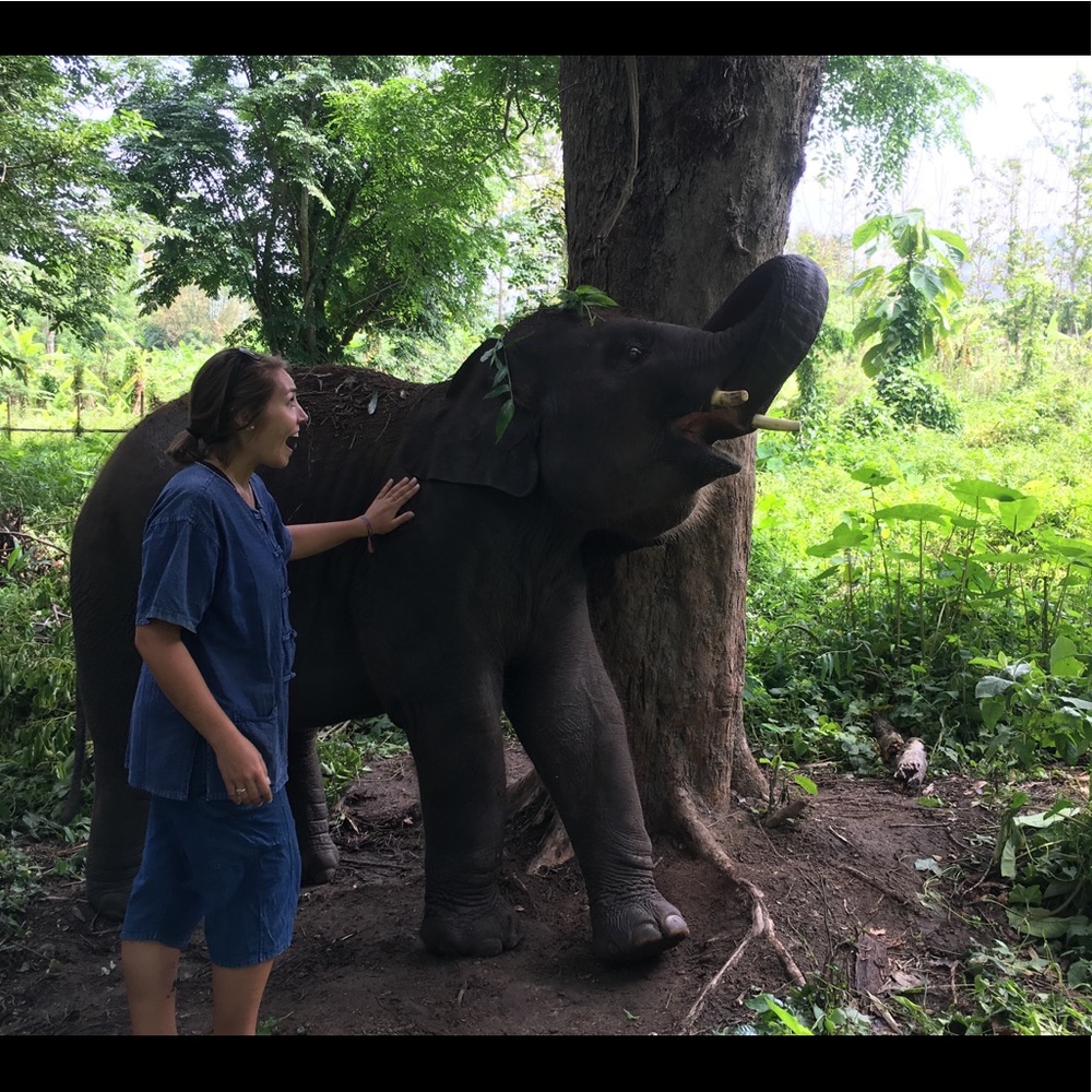 Meet your Posher, Chloe